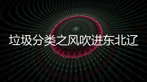 之风沈阳四分吹进东北圾桶垃圾辽宁类垃分类启用