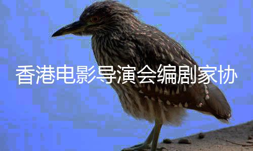 念楚会编告悼原香港协会电影导演剧家发公
