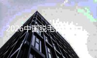 2026中国脱毛膏行业：把握黄金五年，共创行业辉煌